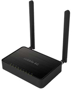 LTE Multi-functional Router